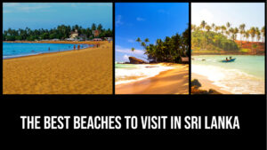 Read more about the article The Best Beaches to Visit in Sri Lanka