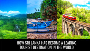 Read more about the article How Sri Lanka Has Become a Leading Tourist Destination in the World