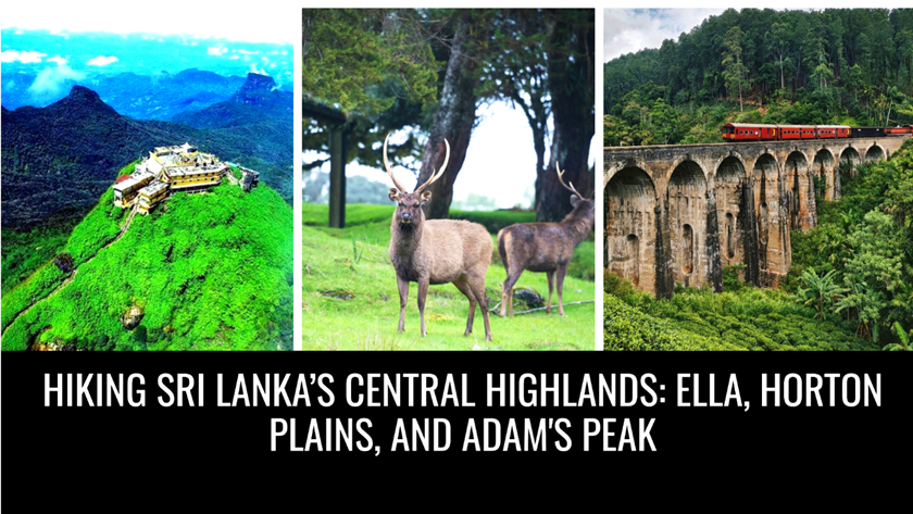 Read more about the article Hiking Sri Lanka’s Central Highlands: Ella, Horton Plains, and Adam’s Peak